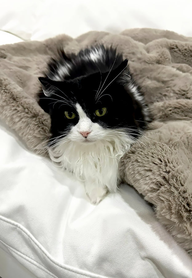 Bliss Throw-Soulfa Home