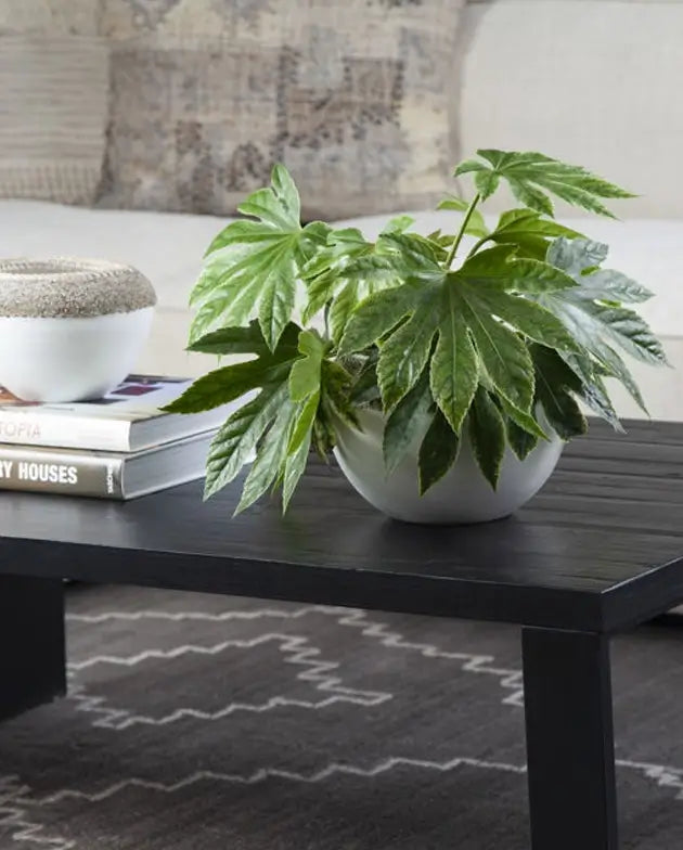 Coffee Table - Mika Coffee Table