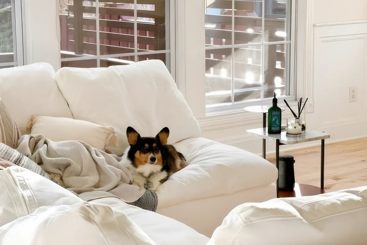 Soulfa Cloud Couch in white, modular sectional sofa chaise, non-toxic, stain resistant, washable, pet friendly